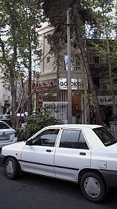 گلد کیش