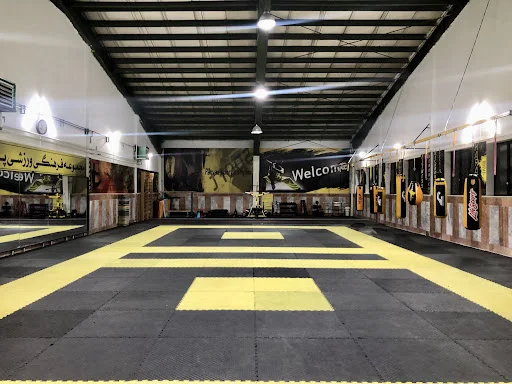 باشگاه دفاع شخصی تبریز