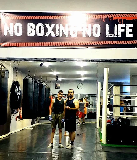 آکادمی بوکس مجنونی