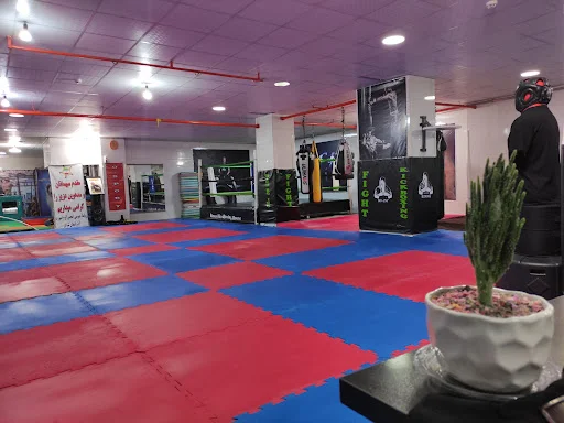 خانه کیک بوکسینگ رستمی