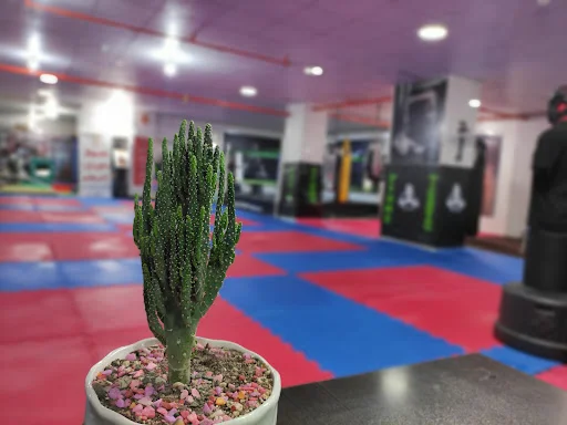 خانه کیک بوکسینگ رستمی - تصویر 11