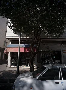 فروشگاه مهدی