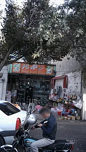 فروشگاه شاملو