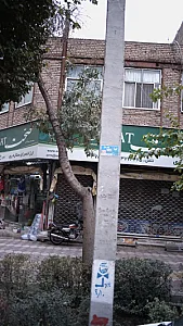 ارزانسرای ستاره ری