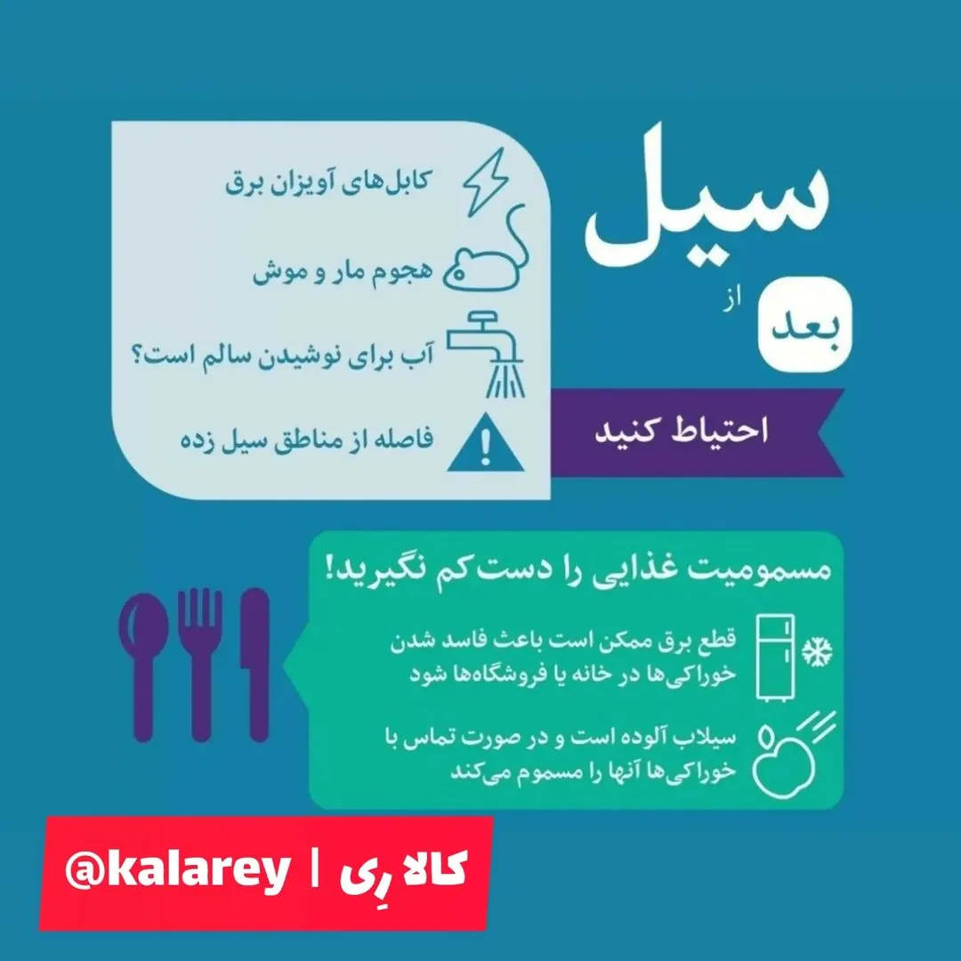 فروشگاه اینترنتی کالا ری (حسن زاده) - تصویر 2