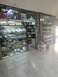 لوازم خانگی و دکوری روشا