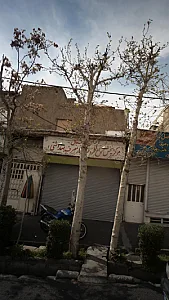 مرکز پخش انواع ظروف یکبار مصرف بهداشتی