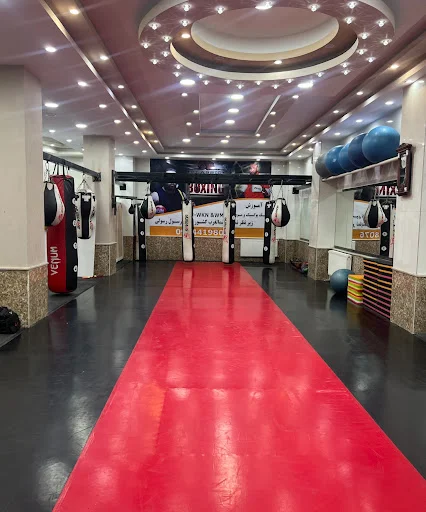 باشگاه مبارزه زئوس