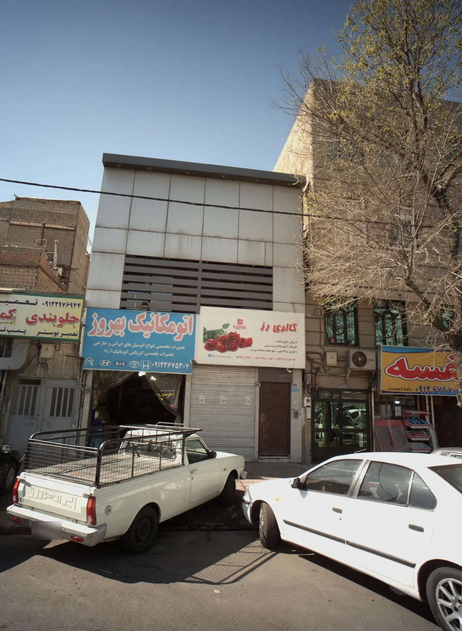 گالری رز