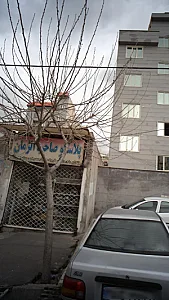 پلاسکو صاحب الزمان