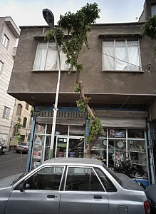 لوازم خانگی حیدری