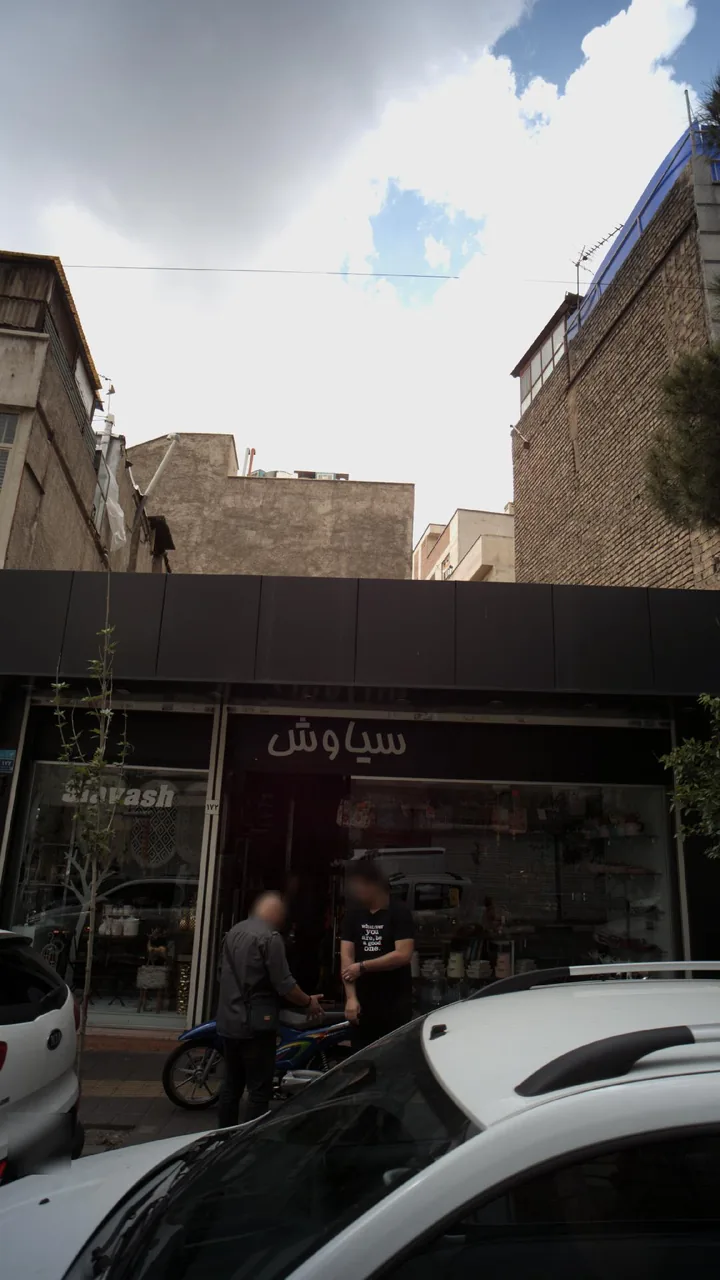 سیاوش - تصویر 3