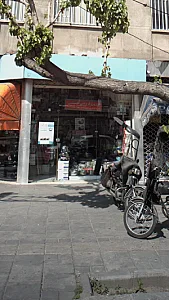 نایینی