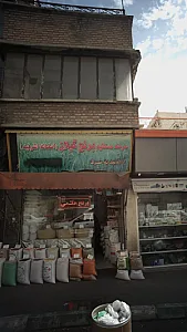 عرضه مستقیم برنج گیلان