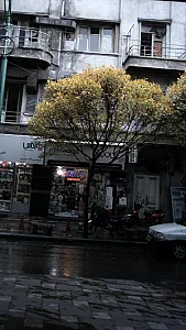 فروشگاه امیر(کن وود)