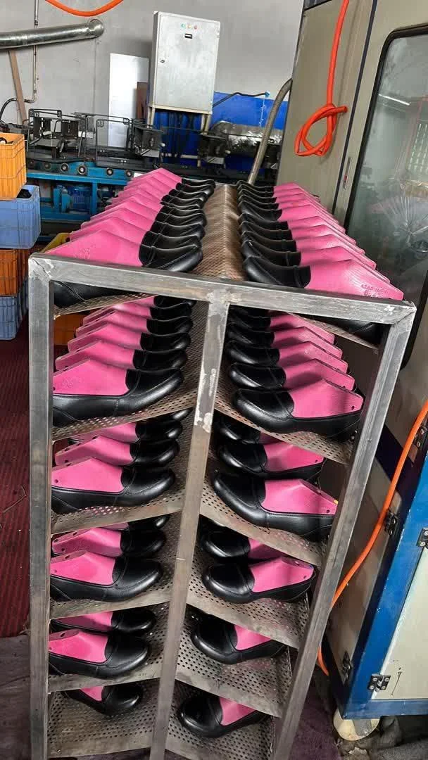 تولیدی کفش دانش گام