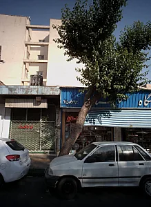 فروشگاه گلستان