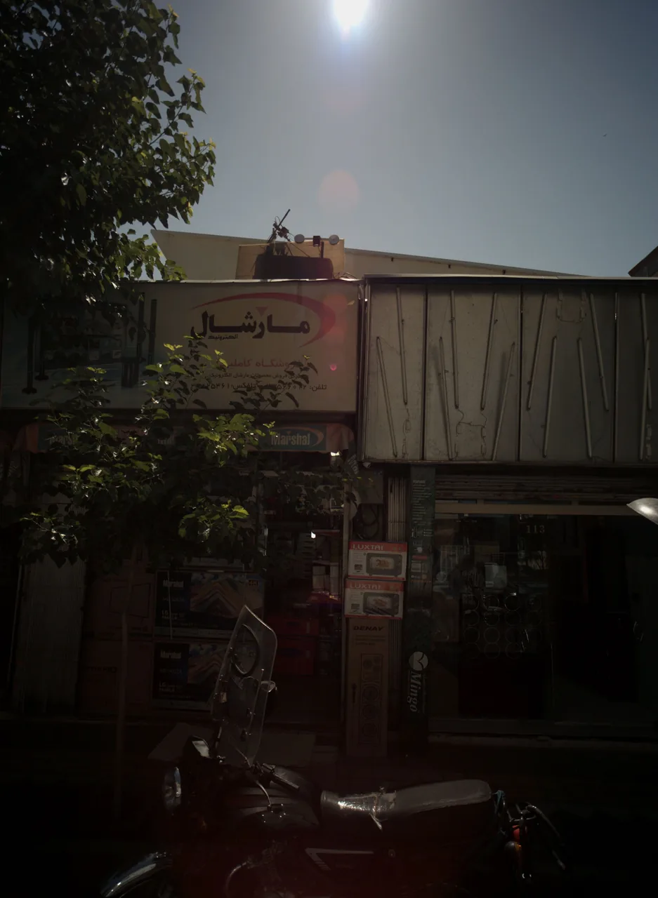 فروشگاه کاملیا