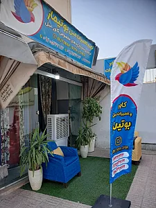 کاورمبل بوتیمار