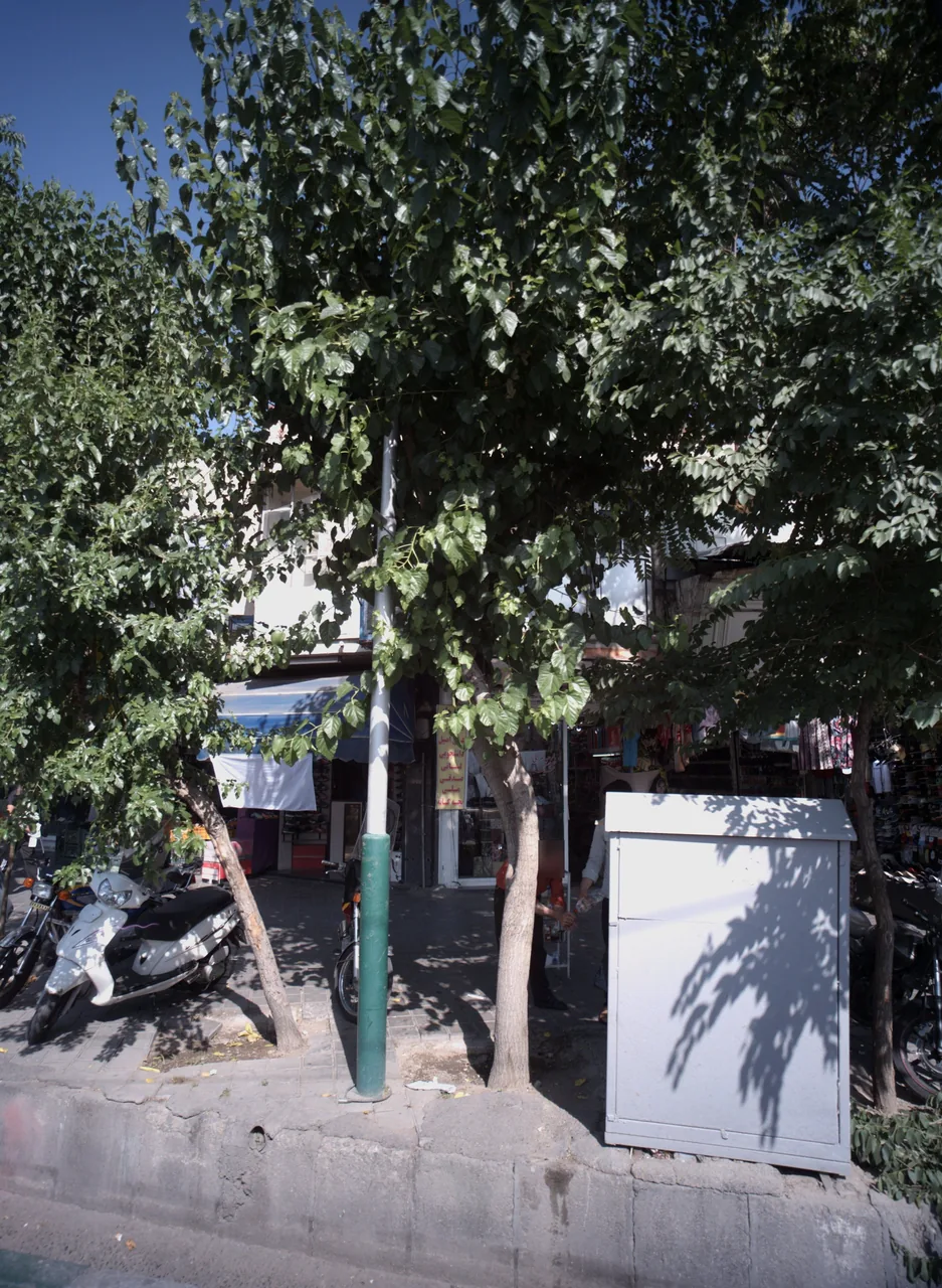 پارچه سرای شیک