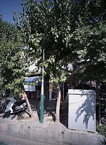 پارچه سرای شیک
