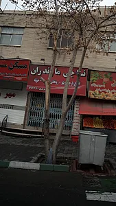 نساجی مازندران
