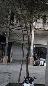پارچه سرای آدینه