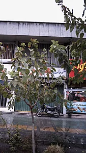 منسوجات مهر