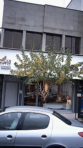 پارچه لارا مد