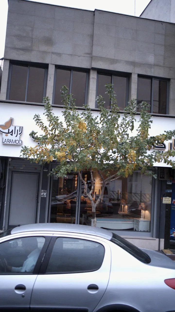 پارچه لارا مد