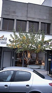 پارچه سرا و کالای خواب ونوس