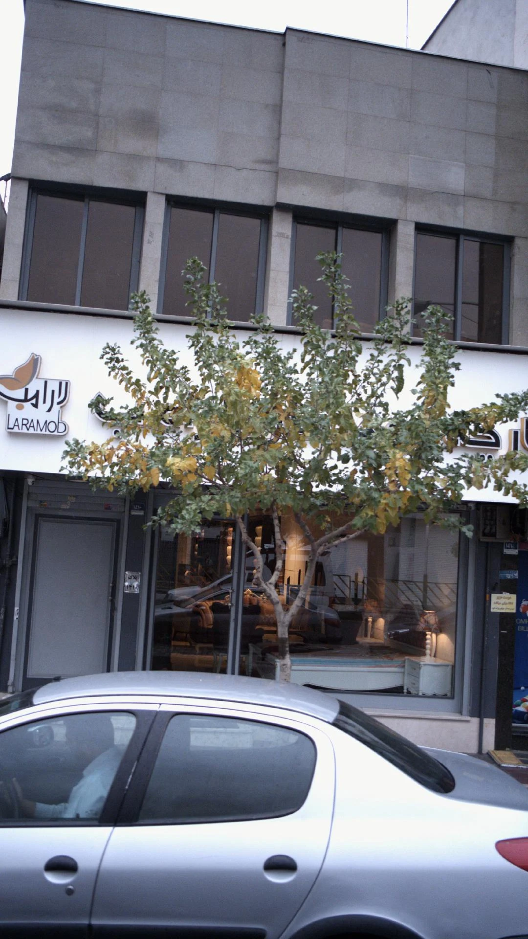 پارچه سرا و کالای خواب ونوس