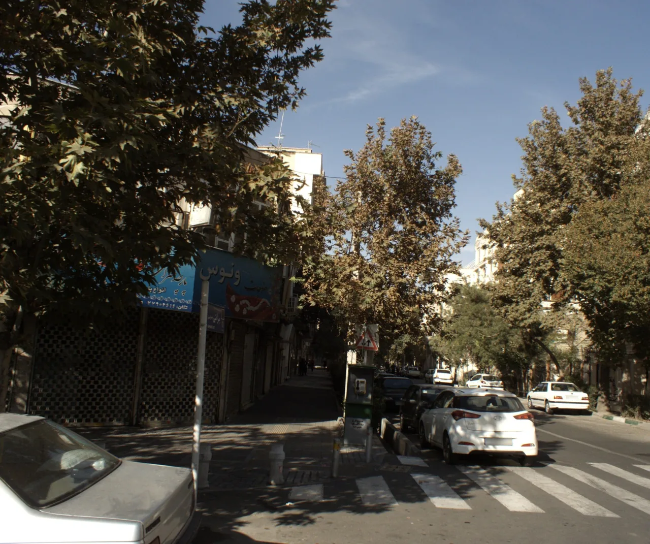 پارچه سرای ونوس