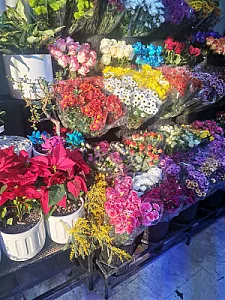 بوتیک گل آکسو