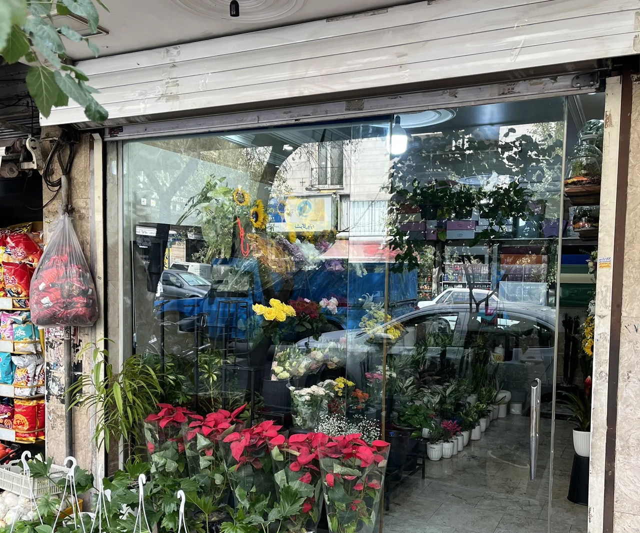 بوتیک گل آکسو - تصویر 4