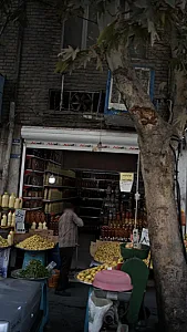 مانتو فروشی کاکتوس