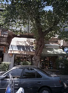 پوشاک آرتین