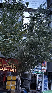 گروه تولیدی پوشاک پرسوناژ
