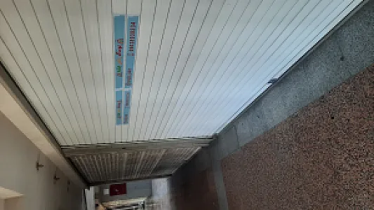 پوشاک رنگین جامه