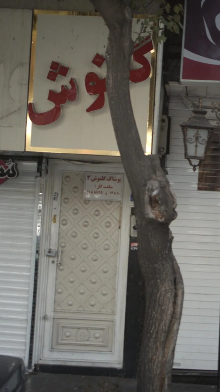 پوشاک گلنوش ۳ - تصویر 2