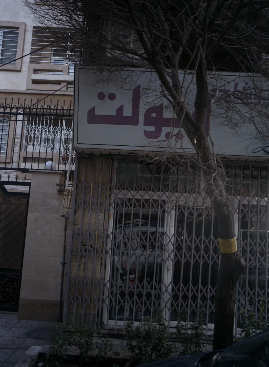 پوشاک ویولت