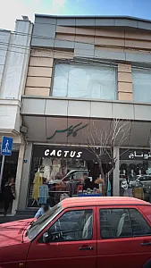 مانتو کاکتوس
