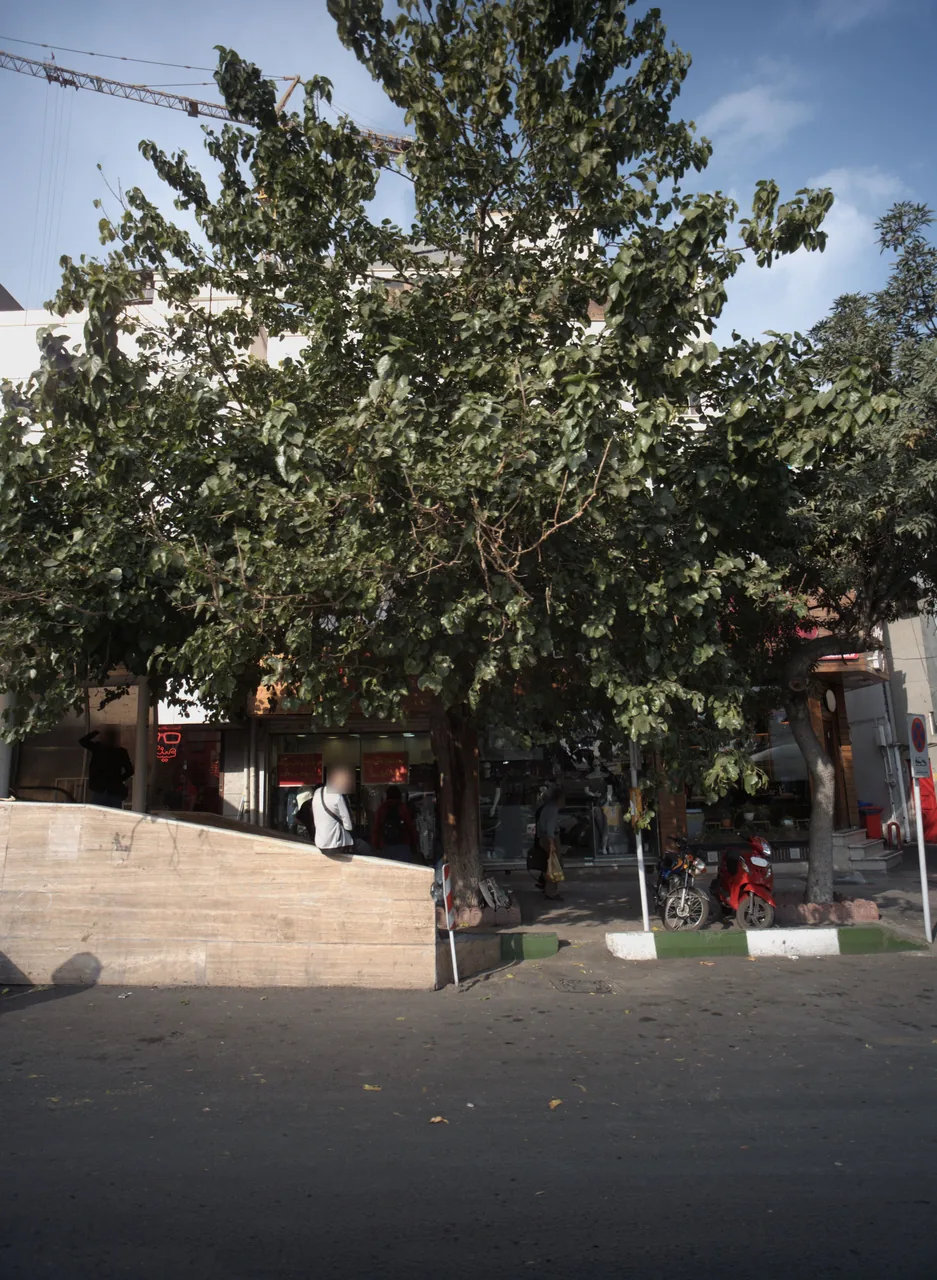 فروشگاه پوشاک