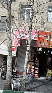پوشاک نرگس