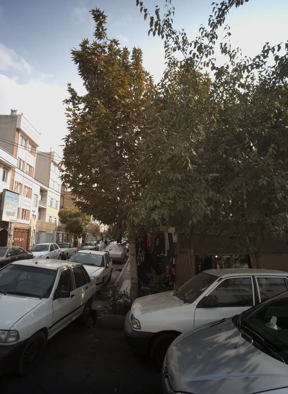 فروشگاه پوشاک