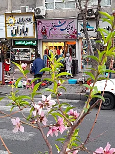 پوشاک شبنم