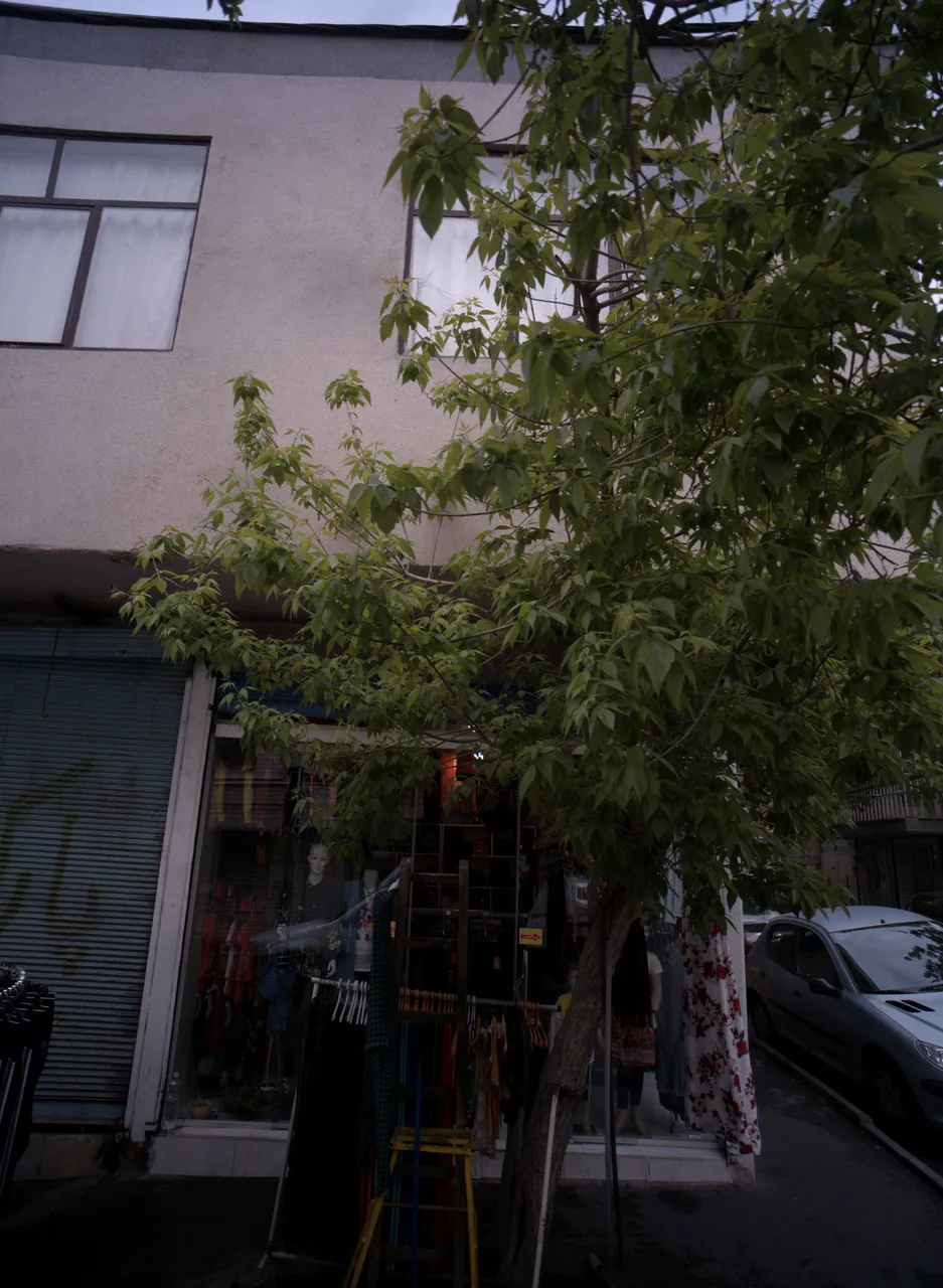 فروشگاه پوشاک