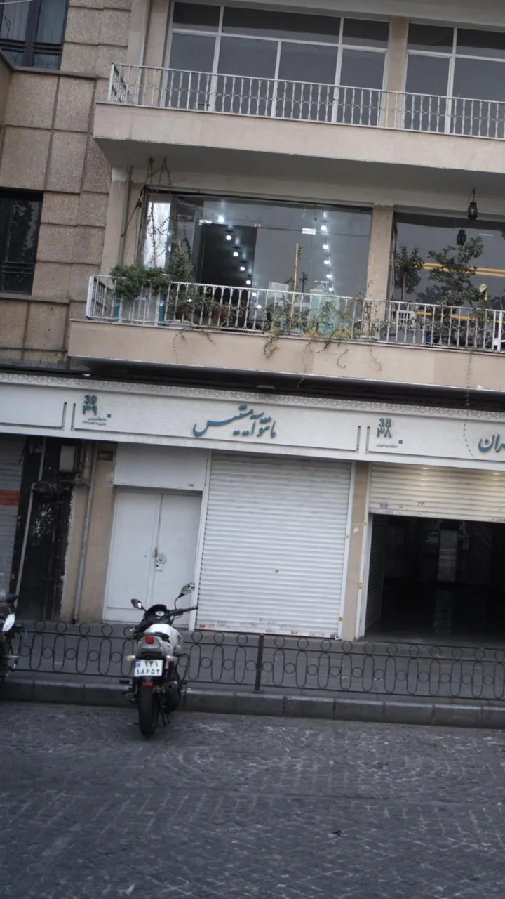 مانتو آمیتیس