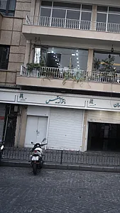 مانتو آمیتیس