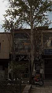 تولید و پخش پوشاک وحید